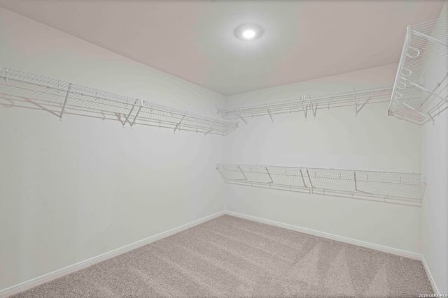 3403 Warlow Branch, San Antonio, TX 78109