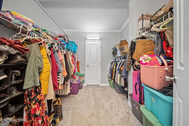 3917 Shipe Rd, Corryton, TN 37721