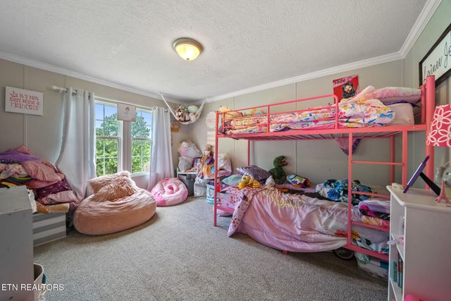 3917 Shipe Rd, Corryton, TN 37721