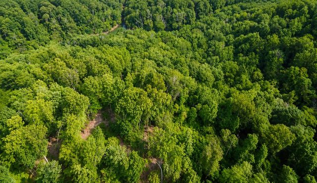 0 S Peninsula Edge Dr, Smithville, TN 37166