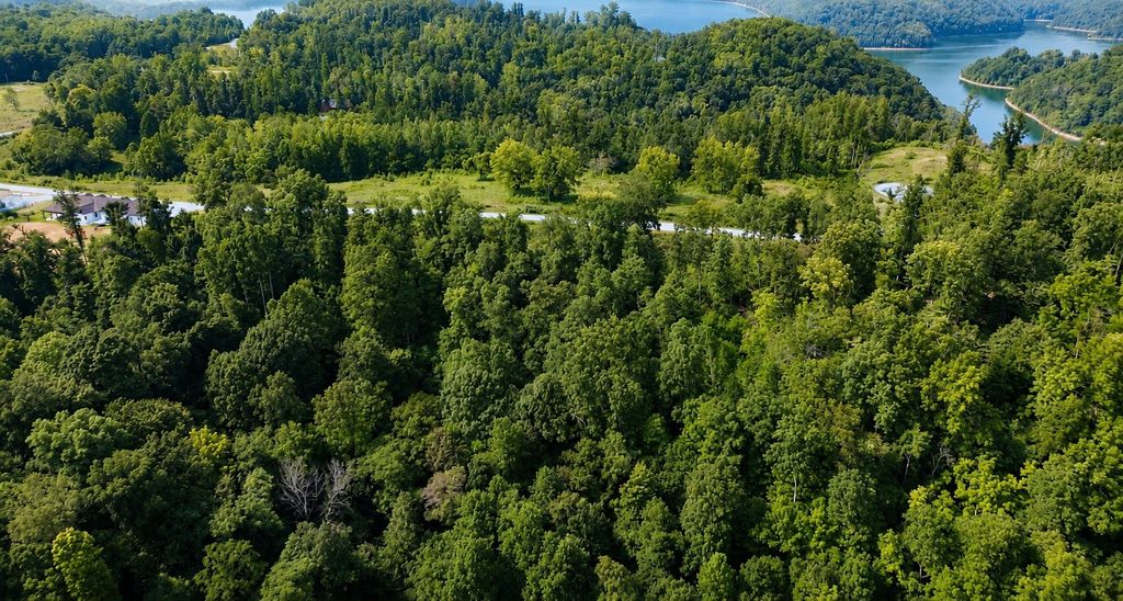 0 S Peninsula Edge Dr, Smithville, TN 37166