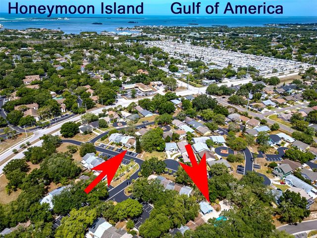 890 JACKSON COURT, Palm Harbor, FL 34683
