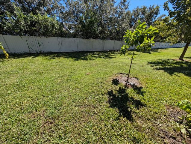 2203 CHATHAM PLACE DRIVE, Orlando, FL 32824