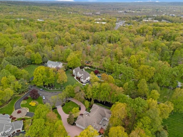 5 White Buck Run, Warren Twp., NJ 07059