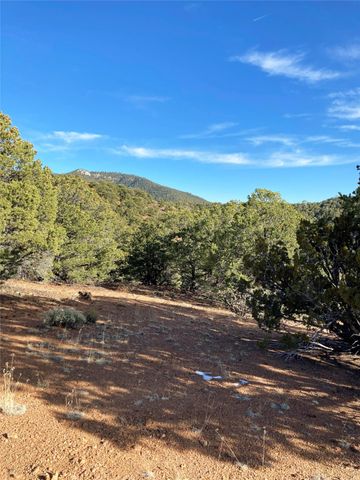 205 Double Arrow A, Santa Fe, NM 87505