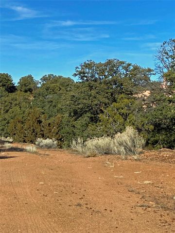 205 Double Arrow A, Santa Fe, NM 87505
