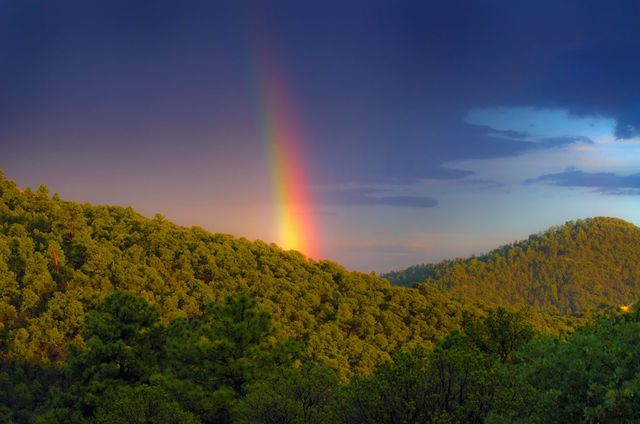 205 Double Arrow A, Santa Fe, NM 87505