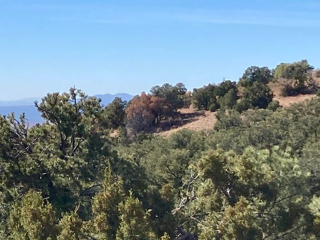 205 Double Arrow A, Santa Fe, NM 87505