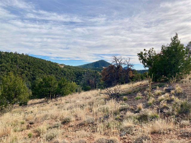 205 Double Arrow A, Santa Fe, NM 87505