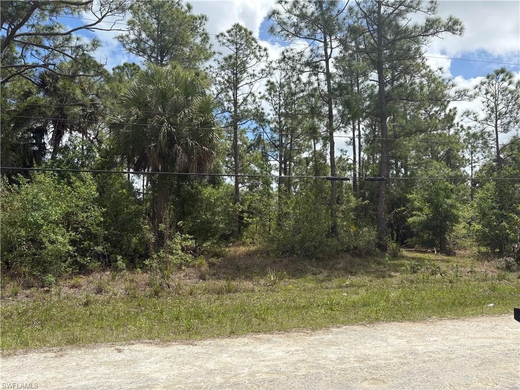 241 Thornton AVE S, LEHIGH ACRES, FL 33974 — exterior