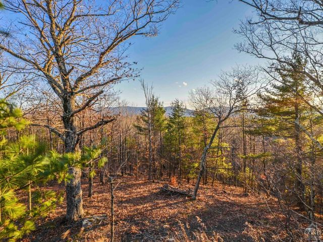 354 Merwin, Jewett, NY 12444