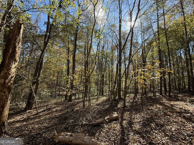 2 Lem Edwards Road, Colbert, GA 30628