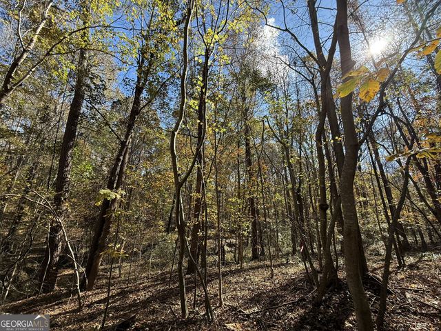 2 Lem Edwards Road, Colbert, GA 30628