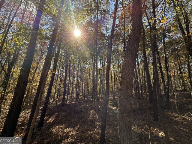 2 Lem Edwards Road, Colbert, GA 30628