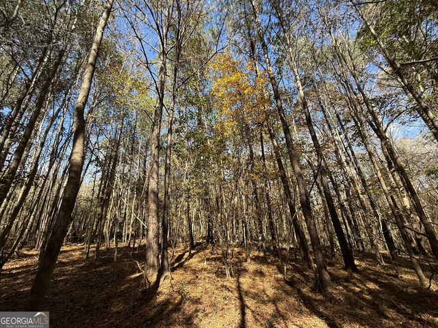 2 Lem Edwards Road, Colbert, GA 30628