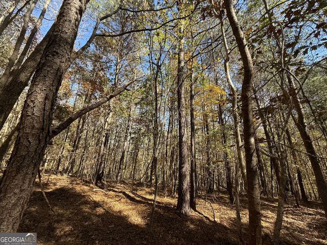 2 Lem Edwards Road, Colbert, GA 30628