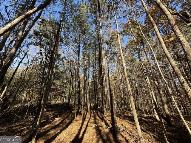 2 Lem Edwards Road, Colbert, GA 30628