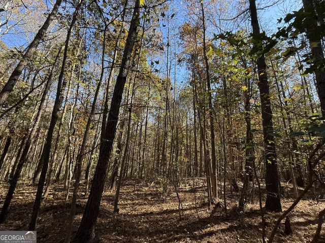 2 Lem Edwards Road, Colbert, GA 30628