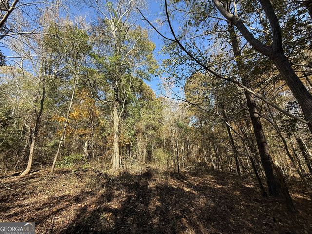 2 Lem Edwards Road, Colbert, GA 30628