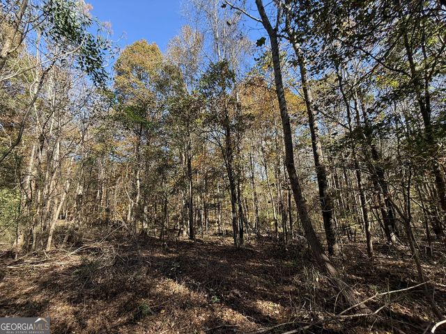 2 Lem Edwards Road, Colbert, GA 30628