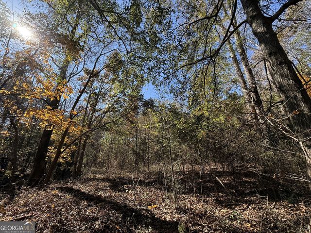 2 Lem Edwards Road, Colbert, GA 30628