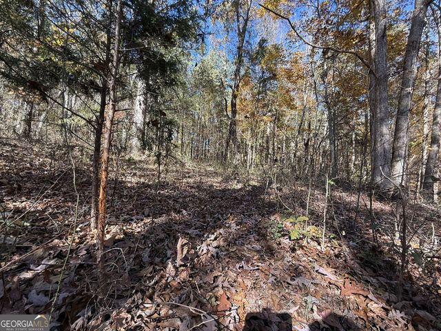 2 Lem Edwards Road, Colbert, GA 30628