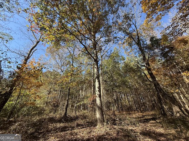 2 Lem Edwards Road, Colbert, GA 30628