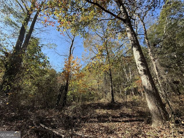 2 Lem Edwards Road, Colbert, GA 30628