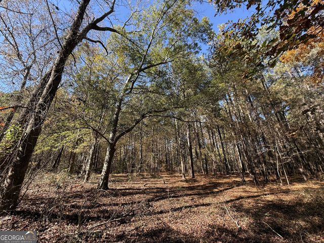 2 Lem Edwards Road, Colbert, GA 30628