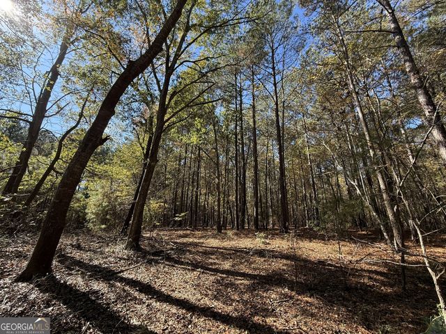 2 Lem Edwards Road, Colbert, GA 30628