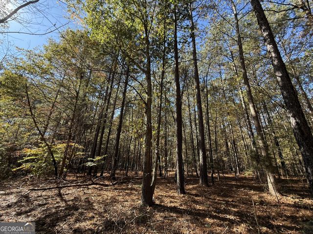 2 Lem Edwards Road, Colbert, GA 30628