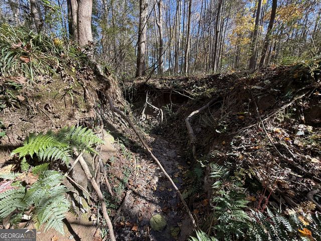 2 Lem Edwards Road, Colbert, GA 30628