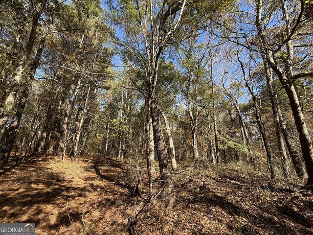 2 Lem Edwards Road, Colbert, GA 30628