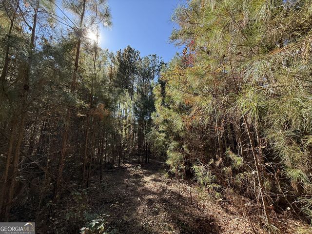 2 Lem Edwards Road, Colbert, GA 30628