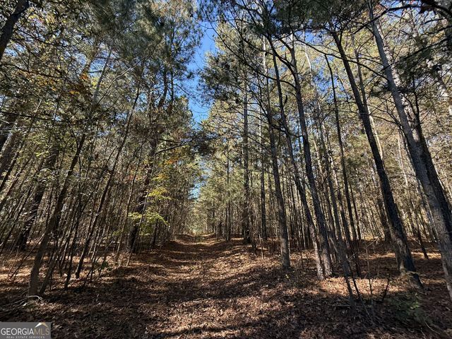 2 Lem Edwards Road, Colbert, GA 30628