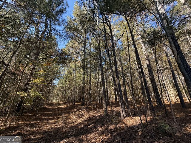 2 Lem Edwards Road, Colbert, GA 30628