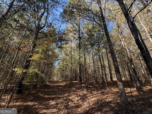 2 Lem Edwards Road, Colbert, GA 30628