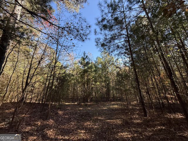 2 Lem Edwards Road, Colbert, GA 30628