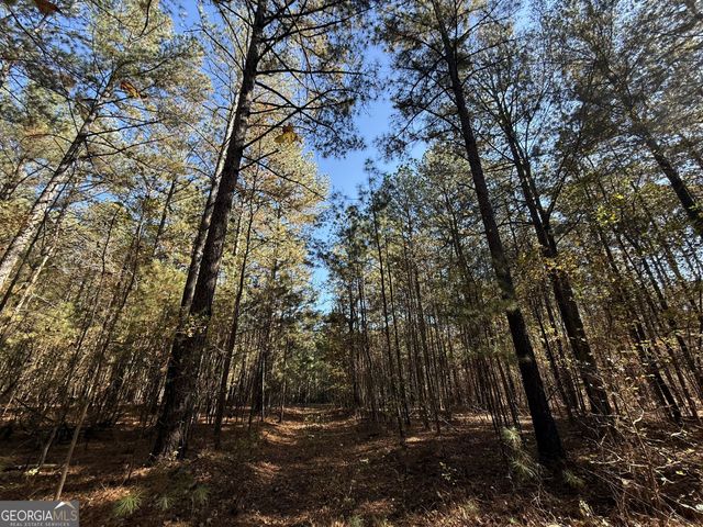 2 Lem Edwards Road, Colbert, GA 30628