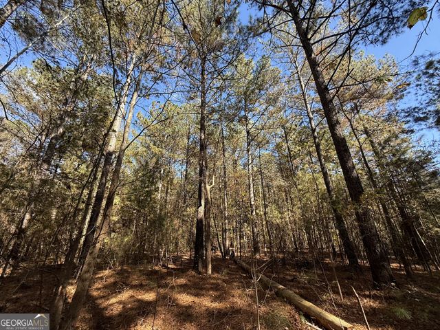 2 Lem Edwards Road, Colbert, GA 30628