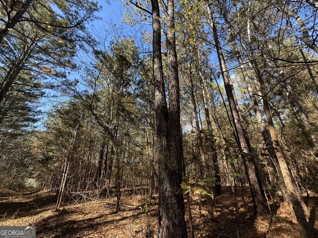 2 Lem Edwards Road, Colbert, GA 30628