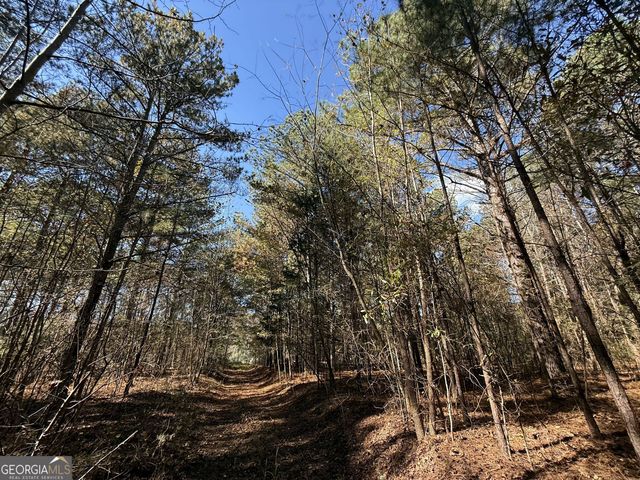 2 Lem Edwards Road, Colbert, GA 30628