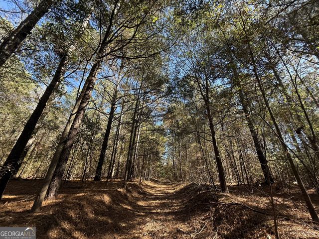 2 Lem Edwards Road, Colbert, GA 30628