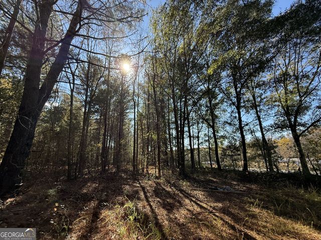 2 Lem Edwards Road, Colbert, GA 30628