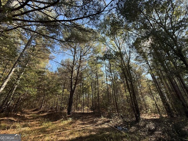 2 Lem Edwards Road, Colbert, GA 30628