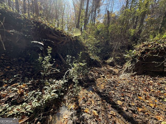 2 Lem Edwards Road, Colbert, GA 30628