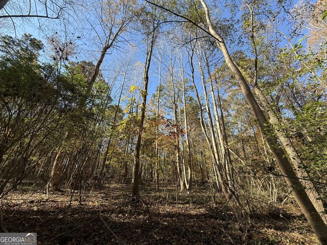 2 Lem Edwards Road, Colbert, GA 30628