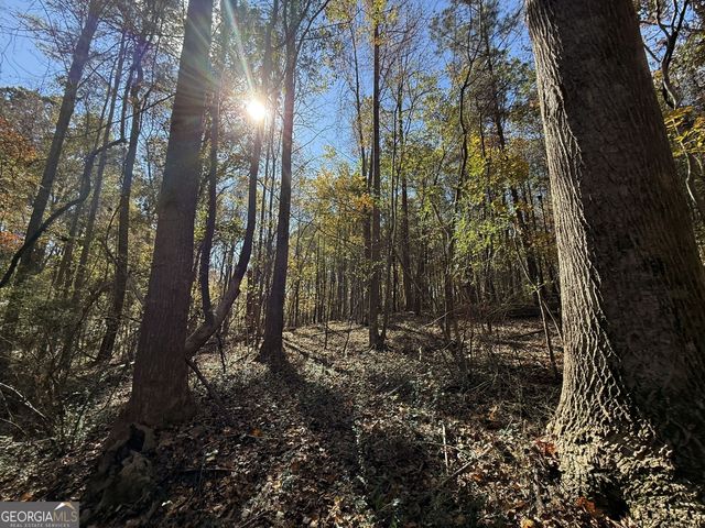 2 Lem Edwards Road, Colbert, GA 30628