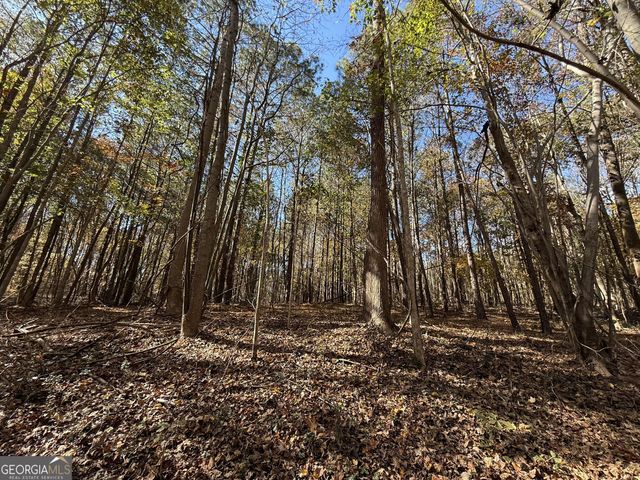 2 Lem Edwards Road, Colbert, GA 30628