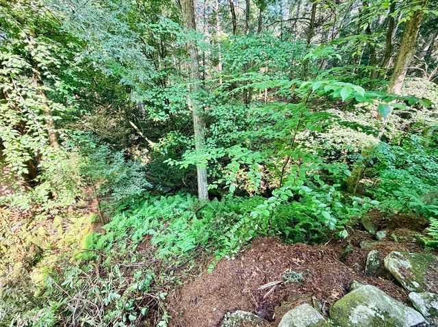 41 Thresher Rd, Hampden, MA 01036